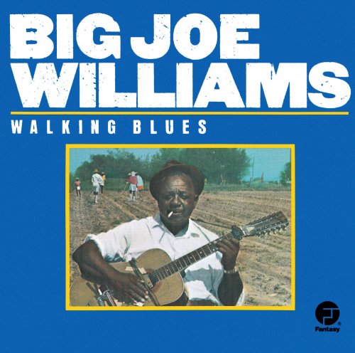 Big Joe Williams - Walking Blues (1961)