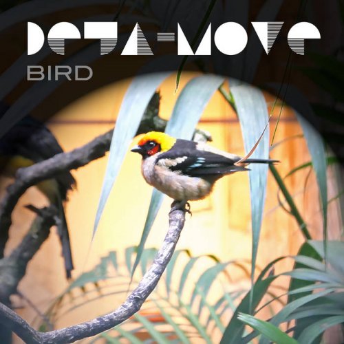 Deja-Move - Bird (2022)