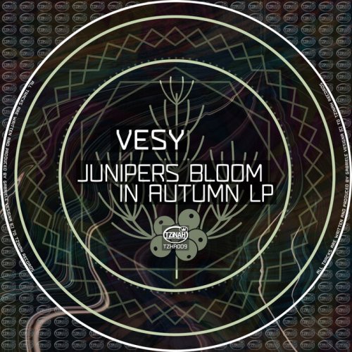 Vesy - Junipers Bloom In Autumn LP (2022)