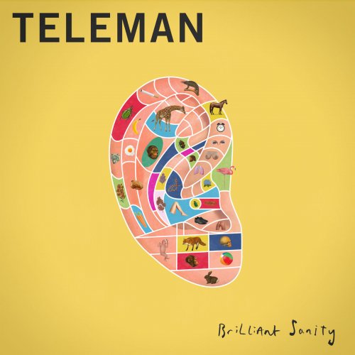Teleman - Brilliant Sanity (2016)
