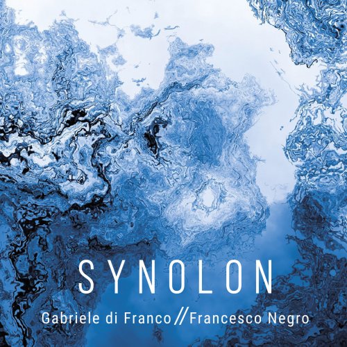 Francesco Negro - Synolon (2022) Hi-Res