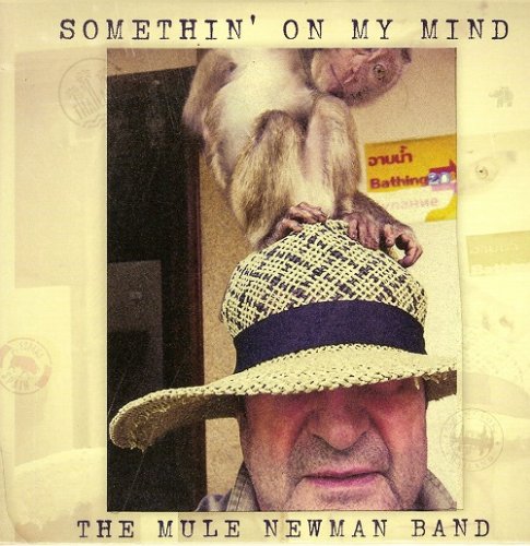 The Mule Newman Band - Somethin' On My Mind (2015)