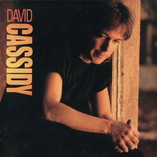 David Cassidy - David Cassidy (1990)