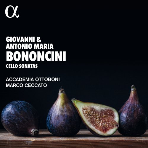 Marco Ceccato and Accademia Ottoboni - Bononcini: Cello Sonatas (2022) [Hi-Res]