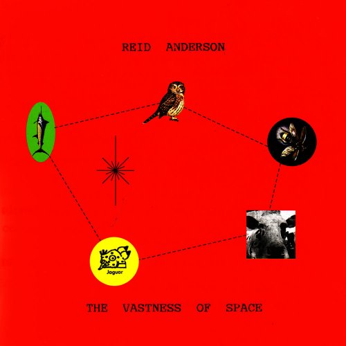 Reid Anderson - The Vastness Of Space (2000)