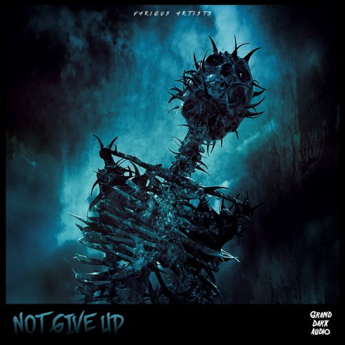 VA - Not Give Up (2022)