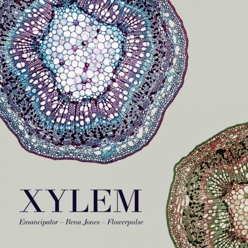 Emancipator, Rena Jones, Flowerpulse - Xylem (2021)