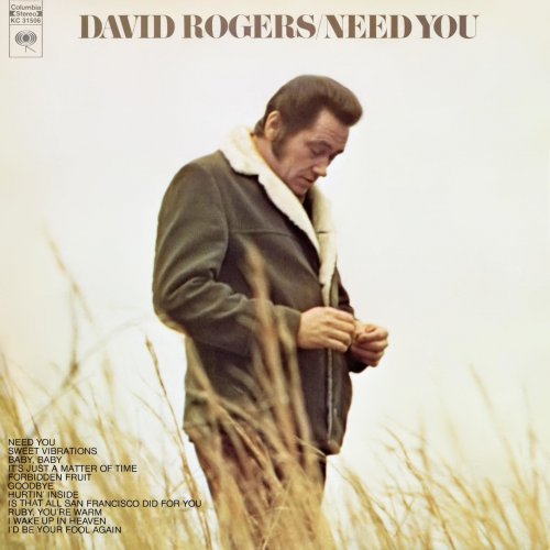 David Rogers - Need You (2022) [Hi-Res]