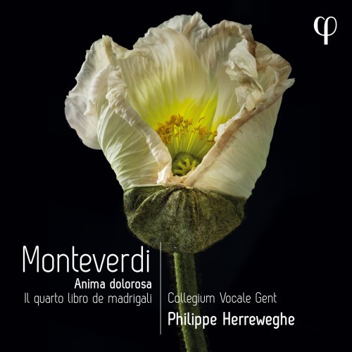 Collegium Vocale Gent and Philippe Herreweghe - Monteverdi Il quarto libro de madrigali (2022) [Hi-Res]