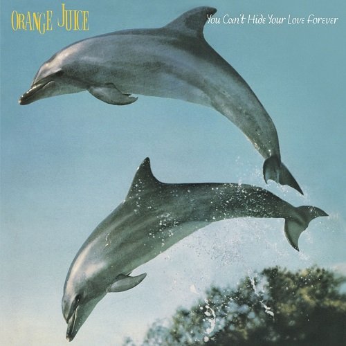 Orange Juice - You Can't Hide Your Love Forever (1982)