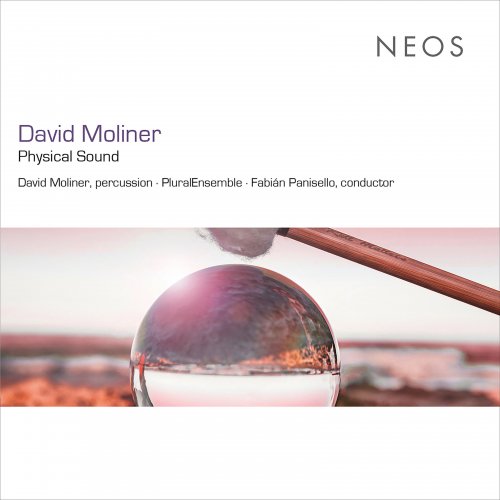 Duncan Gifford - David Moliner: Physical Sound (2022) Hi-Res