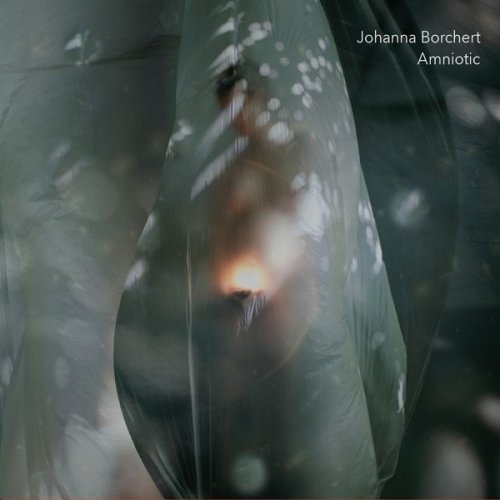 Johanna Borchert - Amniotic (2021)