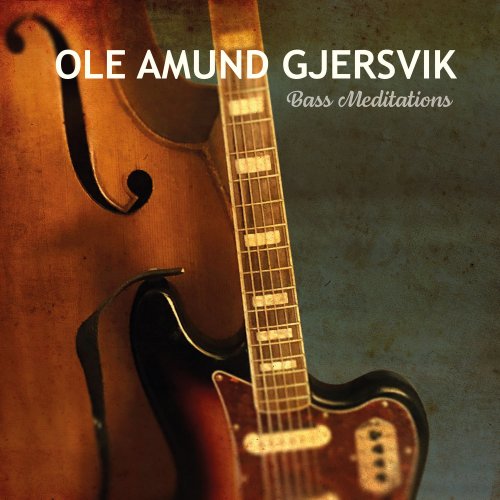Ole Amund Gjersvik - Bass Meditations (2022) Hi Res