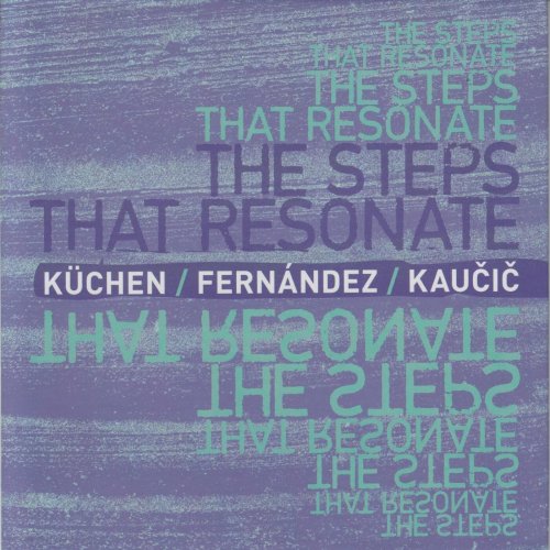 Agustí Fernández - The Steps That Resonate (Live) (2022)