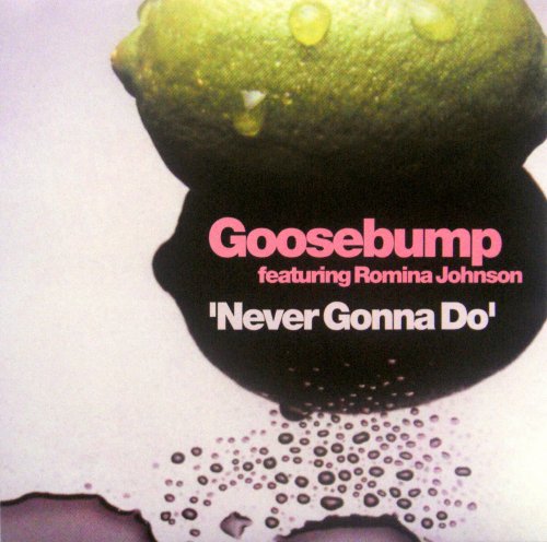 Goosebump Feat. Romina Johnson - Never Gonna Do (US Maxi-Single) (2002)