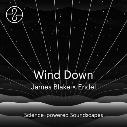 James Blake - Wind Down (2022) [Hi-Res]