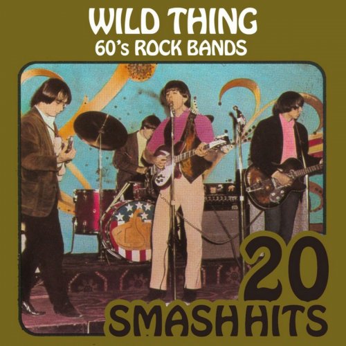 Various Artists - Wild Thing: 60s Rock Bands (2009)
