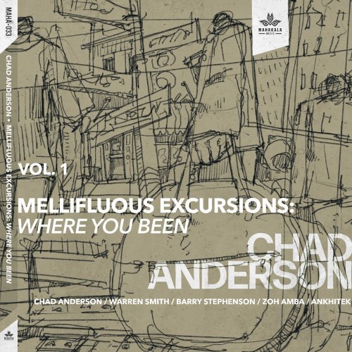 Chad Anderson - Mellifluous Excursions Vol. 1 - Where You Been (2022)
