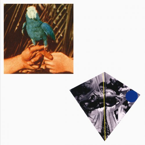 Andrew Bird - Are You Serious (Deluxe Edition) (2016)
