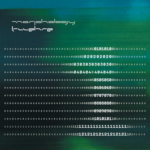 Morphology - Twelve 1 (2022)