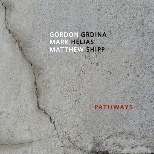 Gordon Grdina Mark Helias Matthew Shipp - Pathways (2022) [Hi-Res]