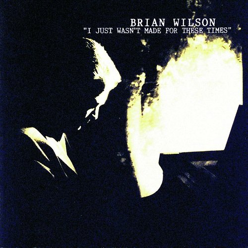 Brian Wilson - I Just Wasn't Made For These Times (1995)