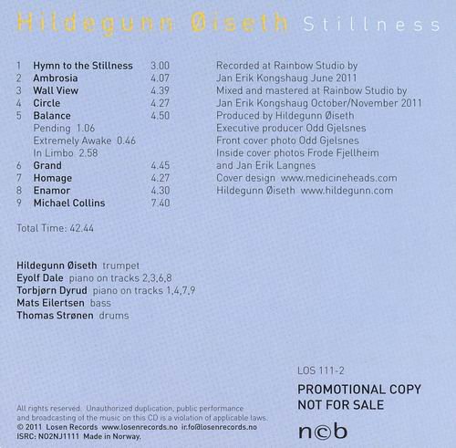 Hildegunn Oiseth - Stillness (2011)