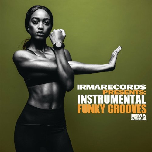 VA - Instrumental Funky Grooves (2022)