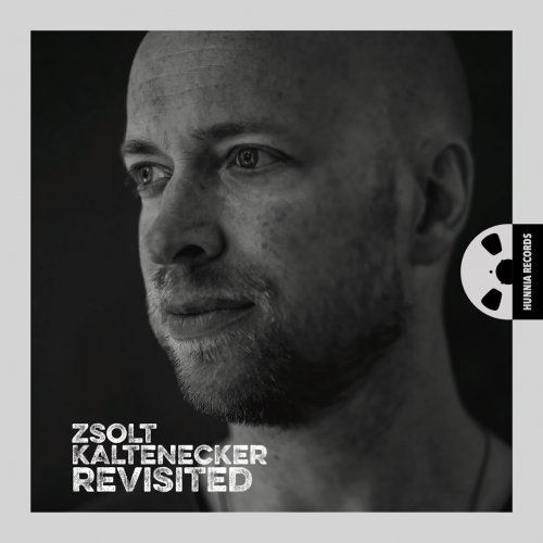 Zsolt Kaltenecker - Revisited (2022) [Hi-Res]