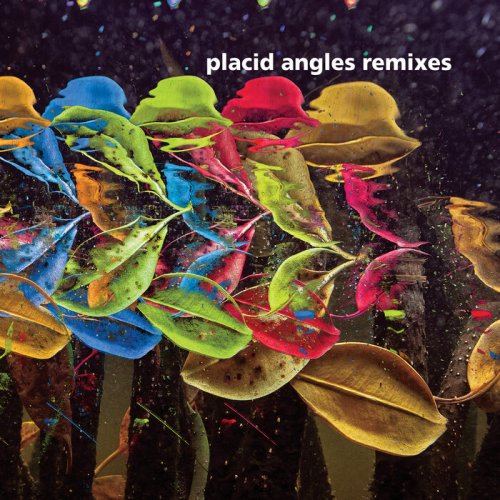 Placid Angles - Touch The Earth Remixes (2022)