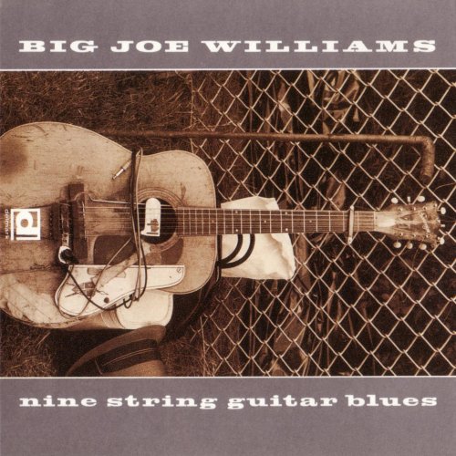 Big Joe Williams - Nine String Guitar Blues (1990)