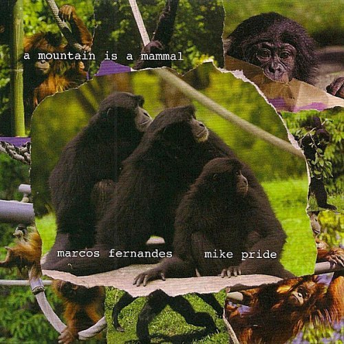 Marcos Fernandes & Mike Pride - A Mountain Is A Mammal (2006)