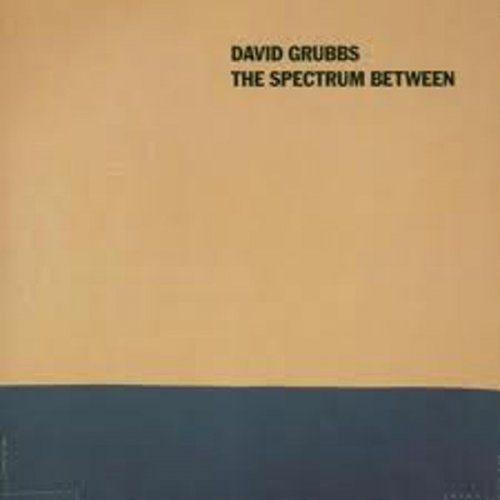 David Grubbs - The Spectrum Between (2000)