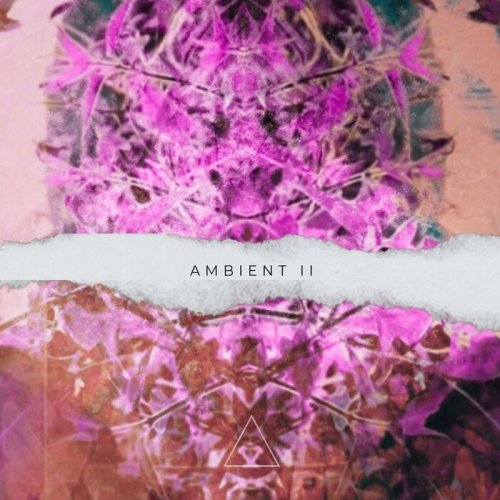 VA - Ambient II (2022)