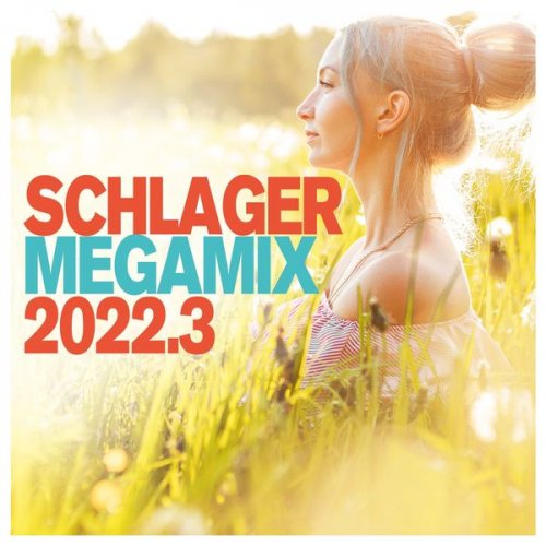 VA - Schlager Megamix 2022.3 (2022)