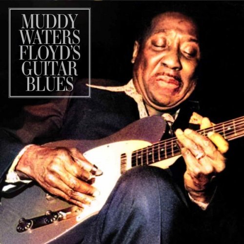 Muddy Waters - Floyd's Guitar Blues (Live) (2022) [Hi-Res]