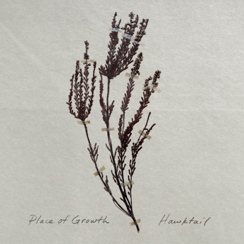 Hawktail - Place of Growth (2022) [Hi-Res]