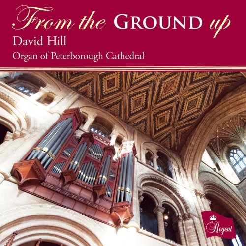 David Hill - From the Ground Up (2020)