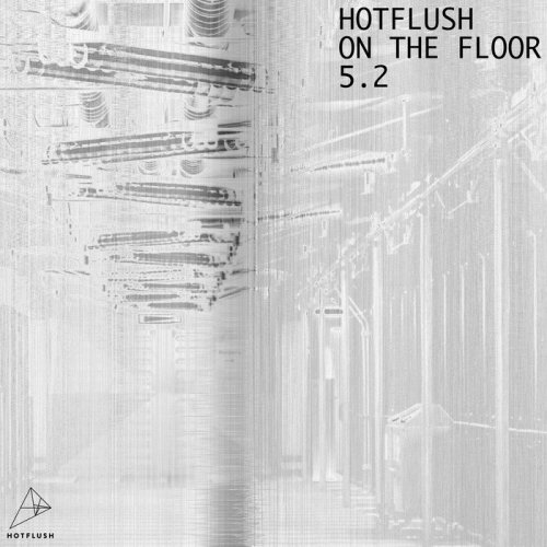 VA - Hotflush On The Floor 5.2 (2022)