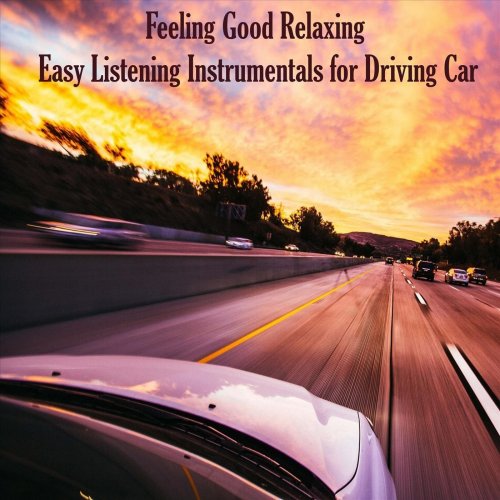 VA - Feeling Good Relaxing: Easy Listening Instrumentals for Driving Car (2022)