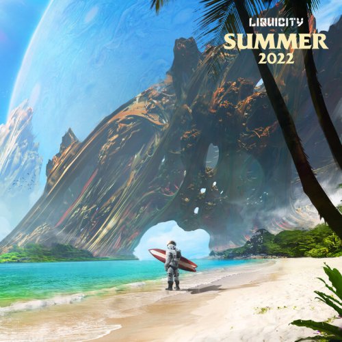 VA - Liquicity Summer 2022 (2022)