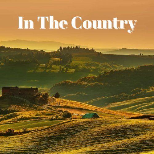 VA - In The Country (2022)