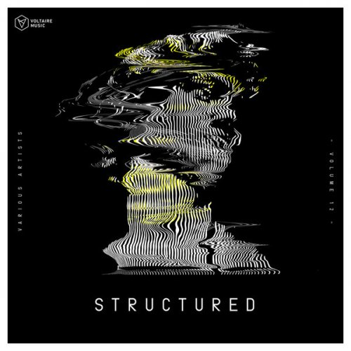 VA - Voltaire Music Pres. Structured, Vol. 12 (2022)