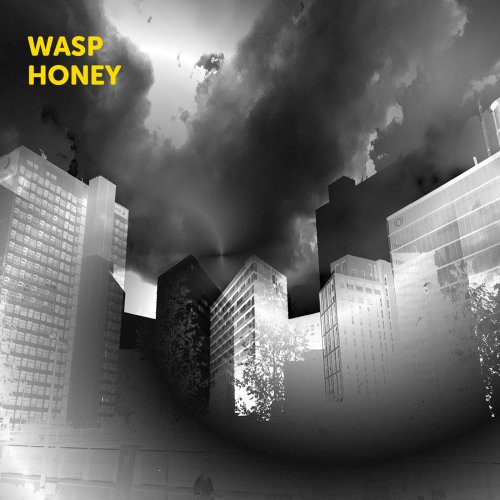Martin Archer, John Jasnoch, Sarah Farmer, Lee Boyd Allatson - Wasp Honey (2022) [Hi-Res]