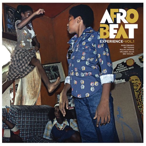 VA - Afrobeat Experience, Vol. 1 (2022)