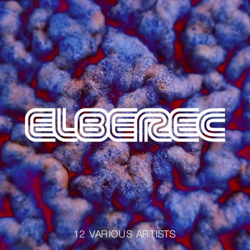 VA - ELBEREC VARIOUS 12 (2022)