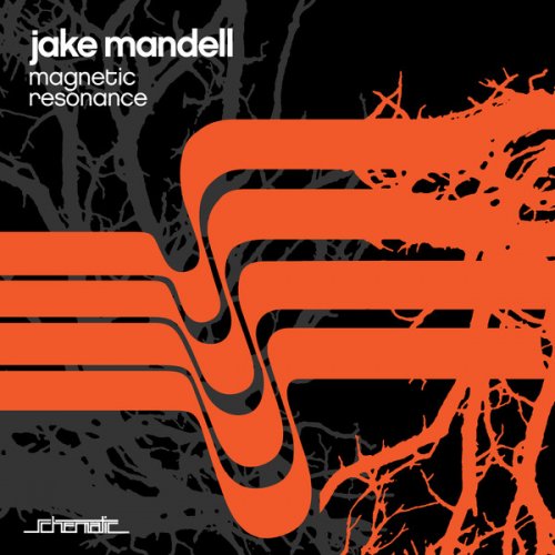 Jake Mandell - Magnetic Resonance (2019) FLAC