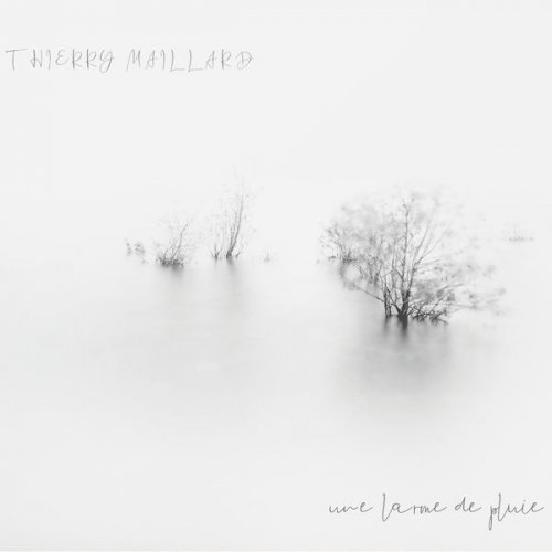 Thierry Maillard - Une larme de pluie (2022) Hi Res