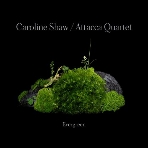 Caroline Shaw & Attacca Quartet - Caroline Shaw: Evergreen (2022) [Hi-Res]