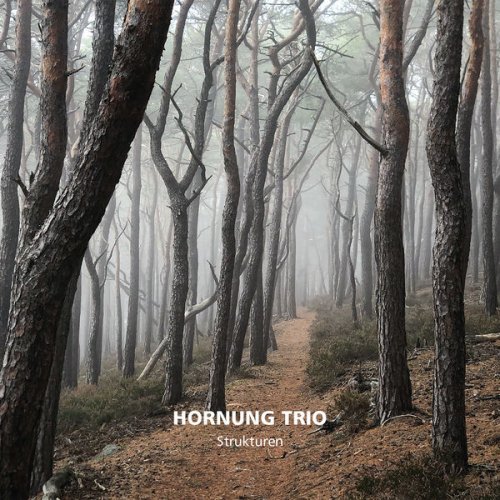 Hornung Trio - Strukturen (2022) [Hi-Res]